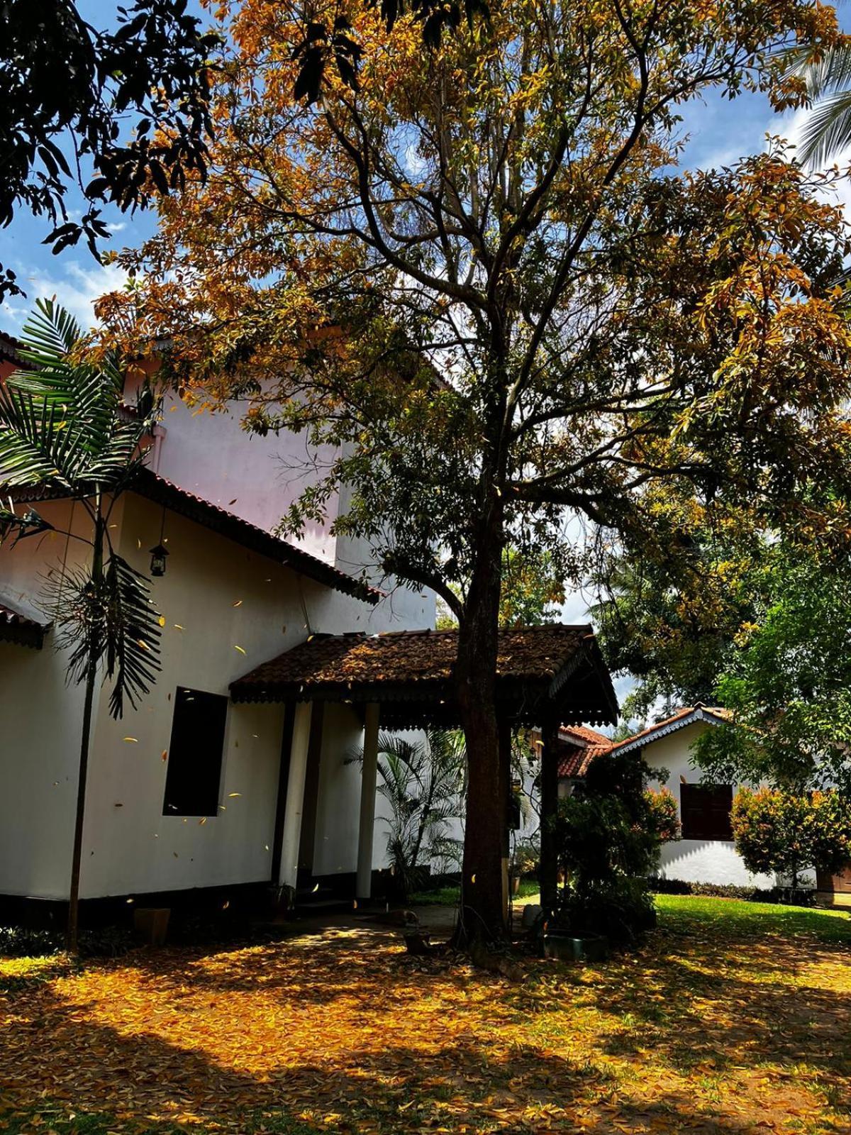 Hotel Illukawela Walauwa Embilipitiya Exterior foto